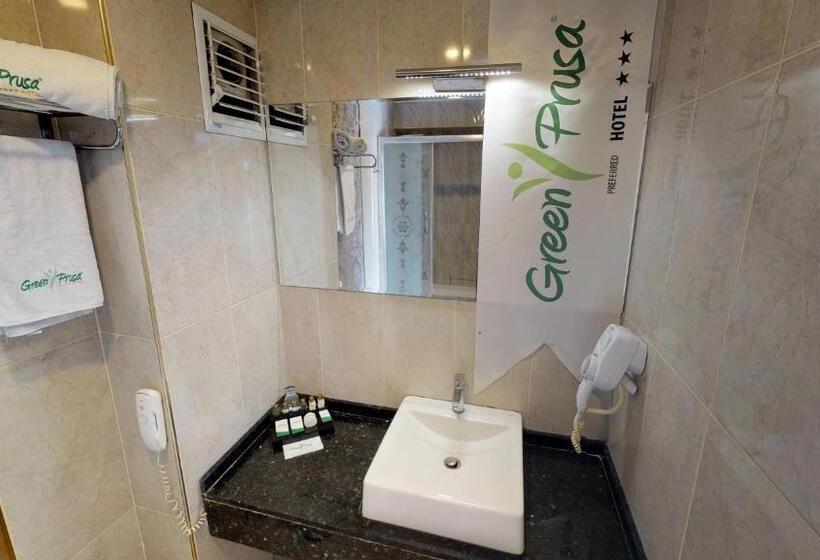 اتاق استاندارد, Green Prusa