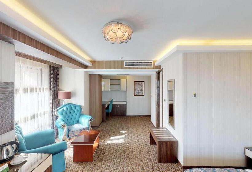 اتاق استاندارد, Green Prusa