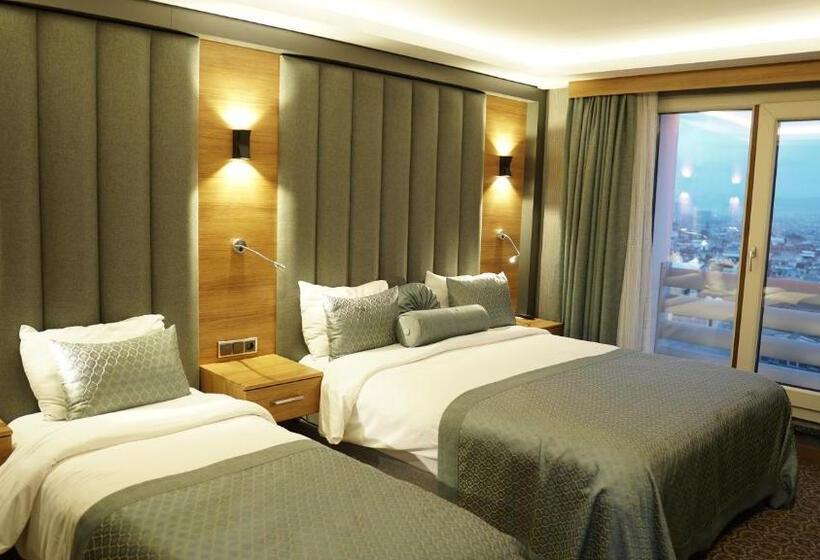 اتاق استاندارد سه نفره, Green Prusa