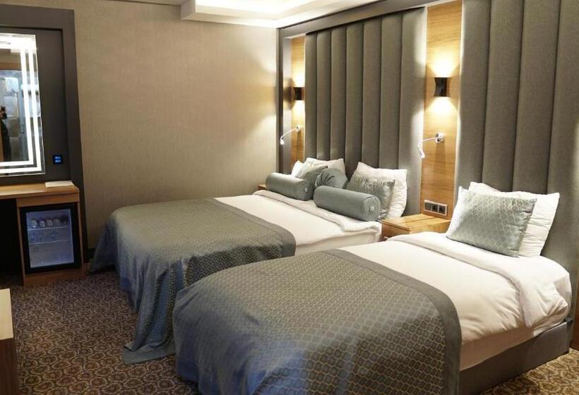 اتاق استاندارد سه نفره, Green Prusa