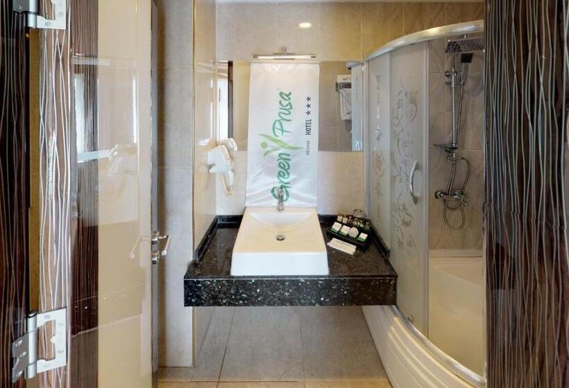 اتاق استاندارد یک نفره, Green Prusa