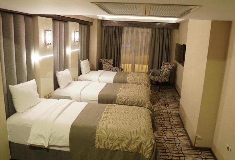 اتاق استاندارد سه تخته با بالکن, Green Prusa