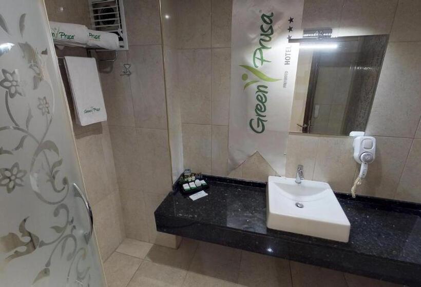 اتاق استاندارد با چشمانداز کوهستان, Green Prusa