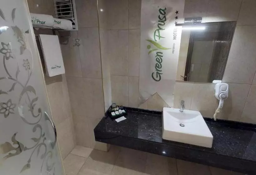 اتاق استاندارد با چشم‌انداز کوهستان, Green Prusa