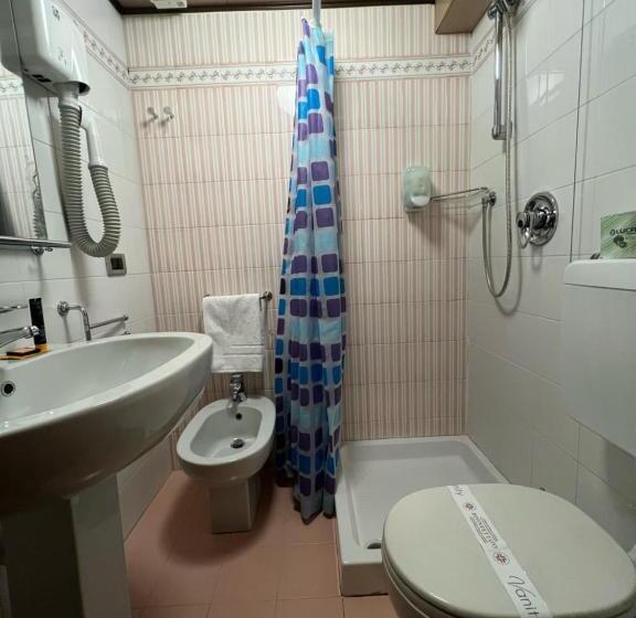 غرفة قياسية فردية, Hg Hotel Italia