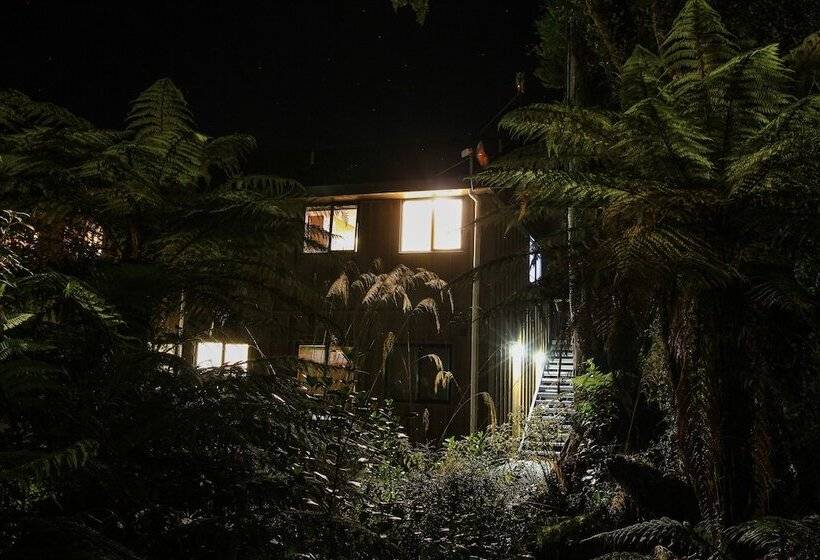 Студия Стандарт, Rainforest Retreat