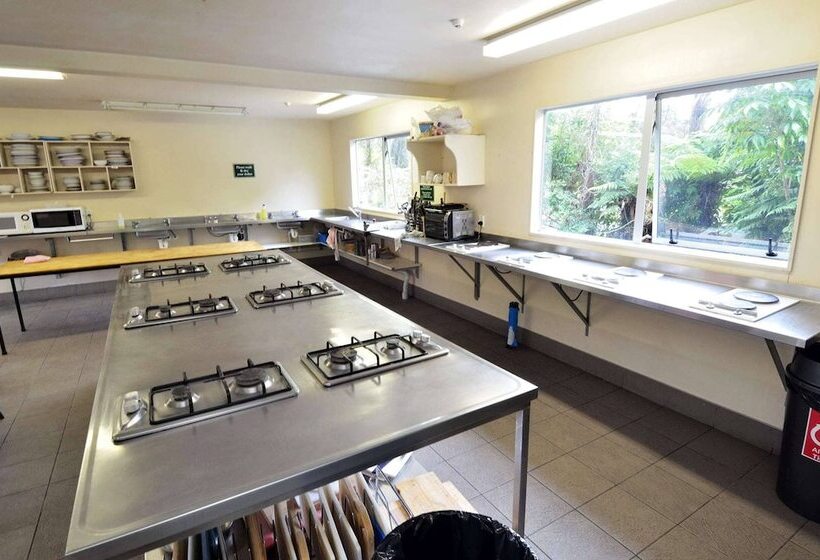 Номер Стандарт, Rainforest Retreat