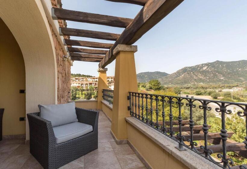 高级大房间, Sa Suergia