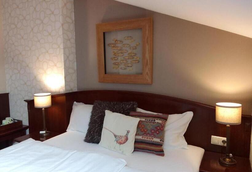 غرفة سوبيريور, Stare Miasto Old Town