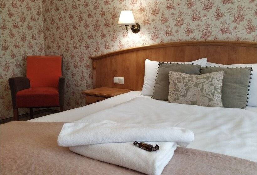 غرفة سوبيريور فردية, Stare Miasto Old Town