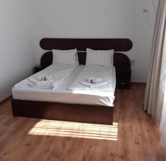 חדר סטנדרט חדר אמבטיה משותף, Old Pensiunea Otopeni