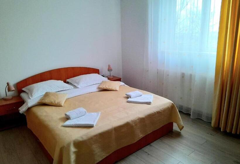 חדר סטנדרט חדר אמבטיה משותף, Old Pensiunea Otopeni