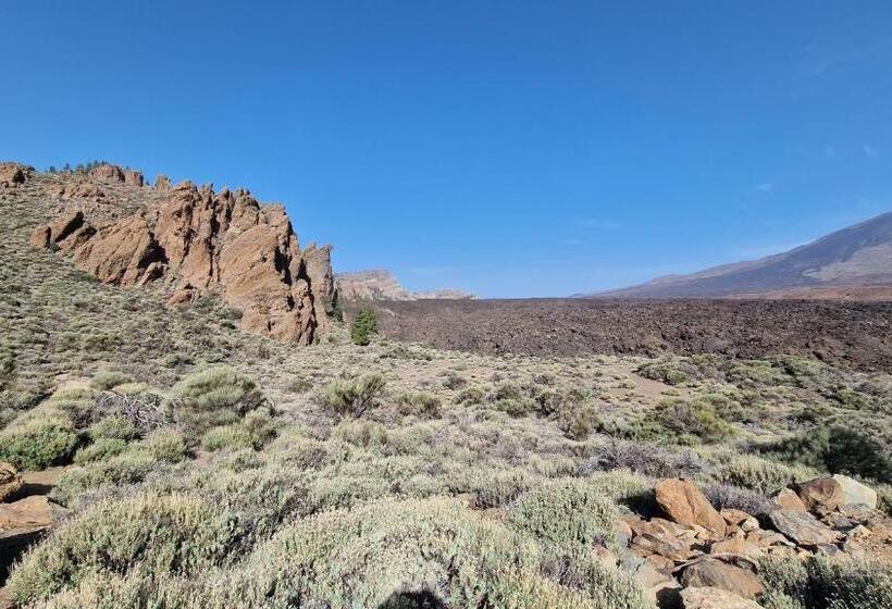 شقة غرفة واحدة, Santa Maria Hovima,adeje Ocean View, Tenerife