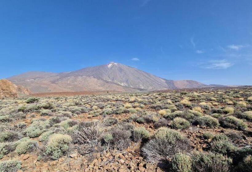 شقة غرفة واحدة, Santa Maria Hovima,adeje Ocean View, Tenerife