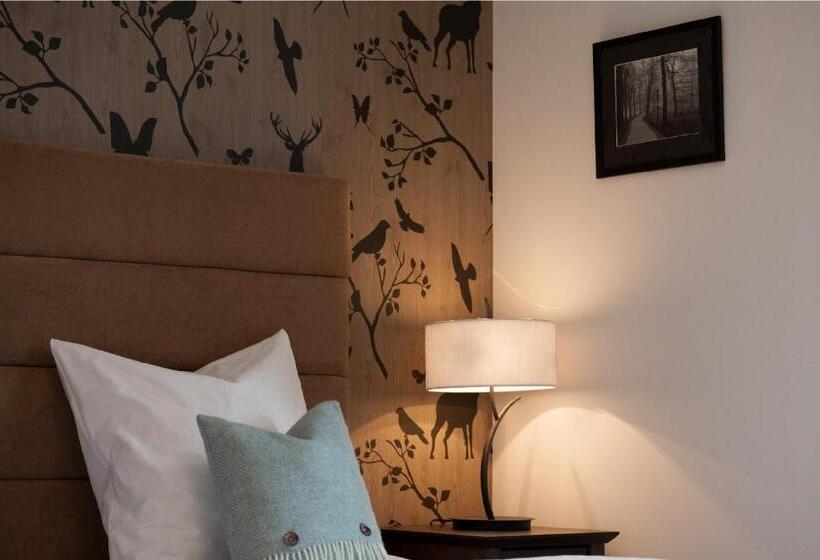 اتاق استاندارد یک نفره, Boutique Hotel Garni Bellevue Davos Wiesen
