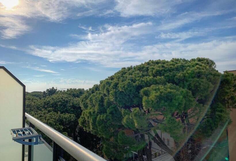 Pokój Standard z Tarasem, Baby B&b