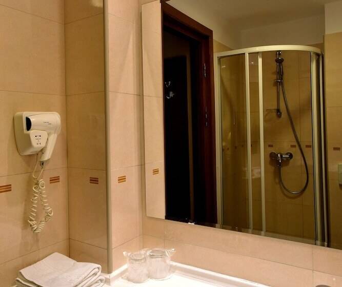 اتاق استاندارد, Brasov