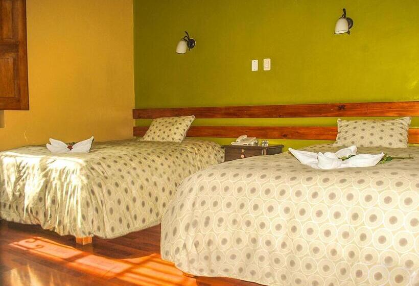 غرفة قياسية, La Casona De Palacio Viejo