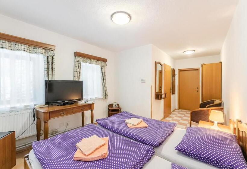 اتاق استاندارد, Perla Jizery