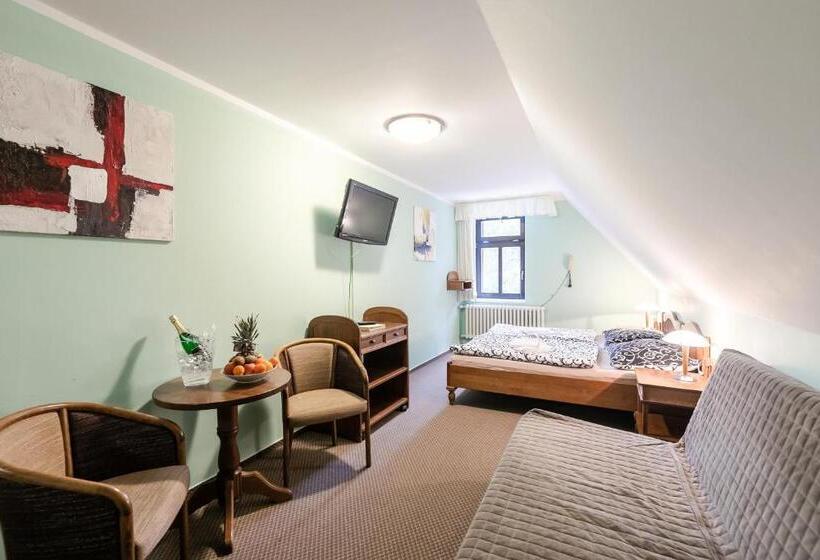 اتاق سوپریور سه تخته, Perla Jizery