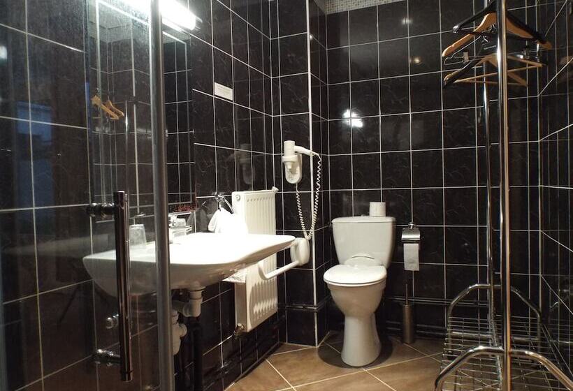 חדר סטנדרט מותאם לאדם עם מוגבלויות, Logis Hôtel Saint Martin