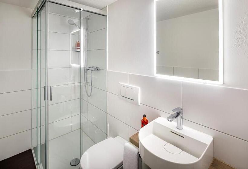 스탠다드 싱글 룸, Schweizerhof