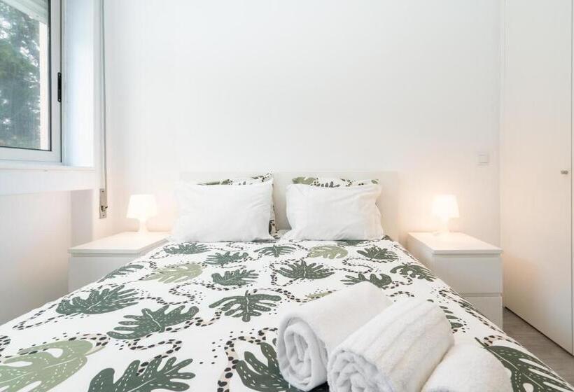 اتاق استاندارد, Moreira 284