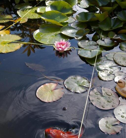 חדר סטנדרט, Villa Monique
