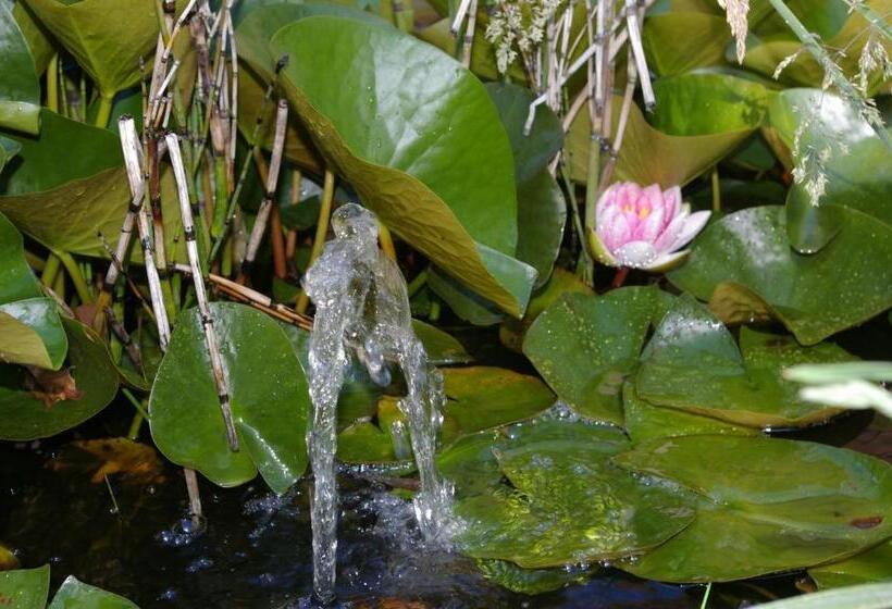 חדר סטנדרט עם מיטת קינג, Villa Monique
