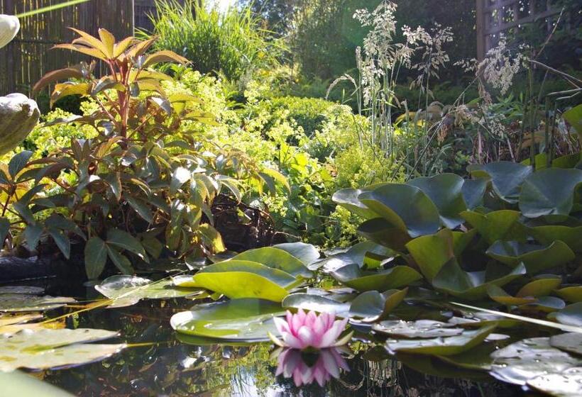 חדר סטנדרט עם מיטת קינג, Villa Monique