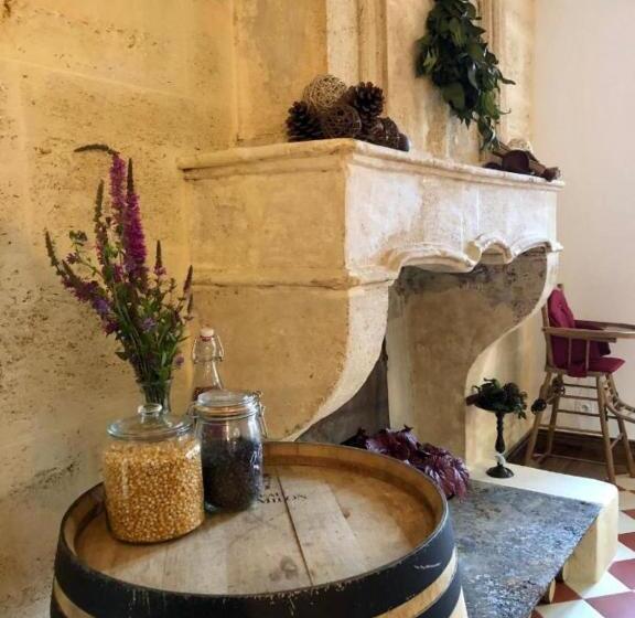 חדר סטנדרט נוף לגינה, Chambres D Hôte & Gîte Château Le Conte   Saint Emilion
