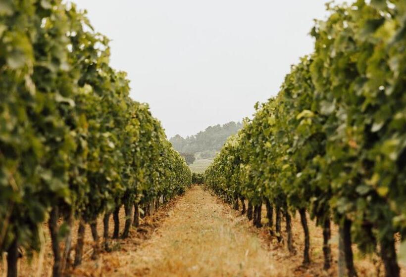 חדר סטנדרט לשלושה עם נוף לגינה, Chambres D Hôte & Gîte Château Le Conte   Saint Emilion