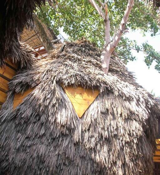 بنجلو سوبيريور, Raiz Kite Cabana