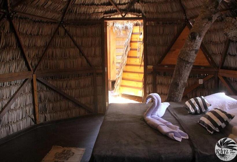 Bungalow Superior, Raiz Kite Cabana