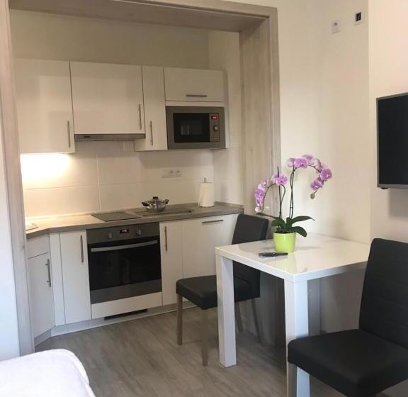 חדר סטודיו סטנדרד, Panorama Apartments