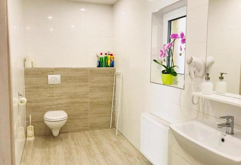 דירת חדר סופריור, Panorama Apartments