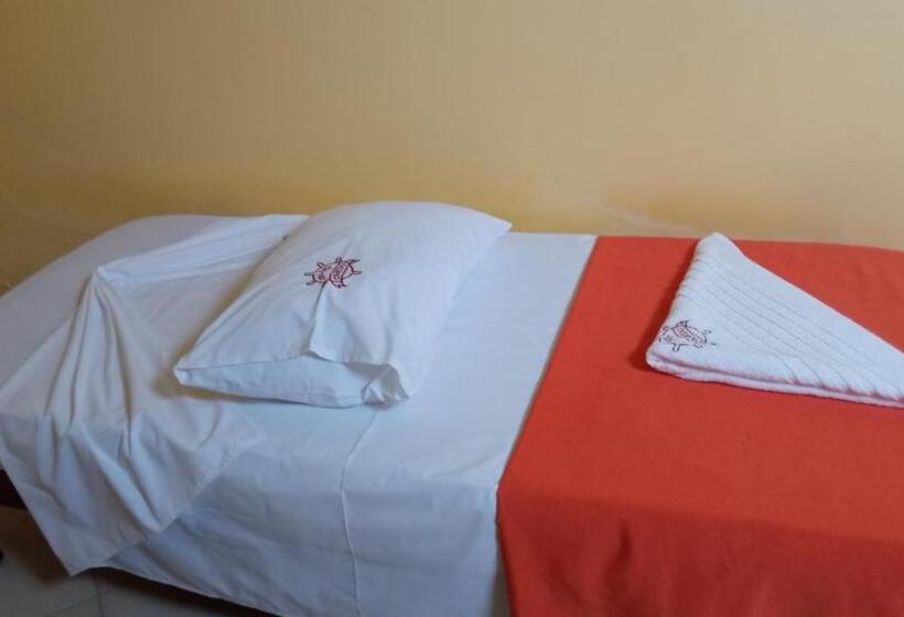 חדר סטנדרט לארבעה, Pousada Canedo