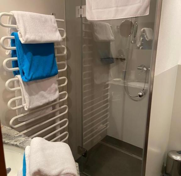 テラス付スタンダードルーム, Haus Saler