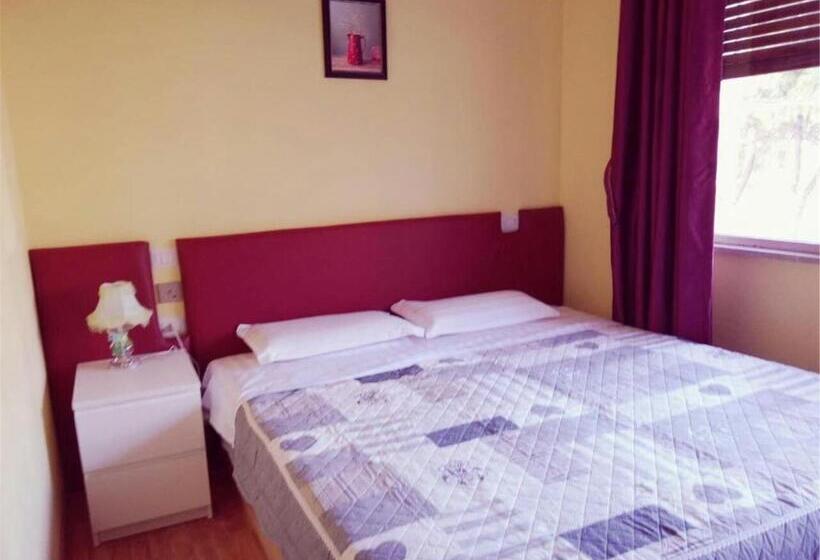 标准间, Ciclamino Siracusa