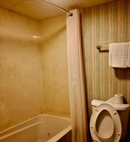 带2个双人床的标准工作室, Rittiman Inn And Suites