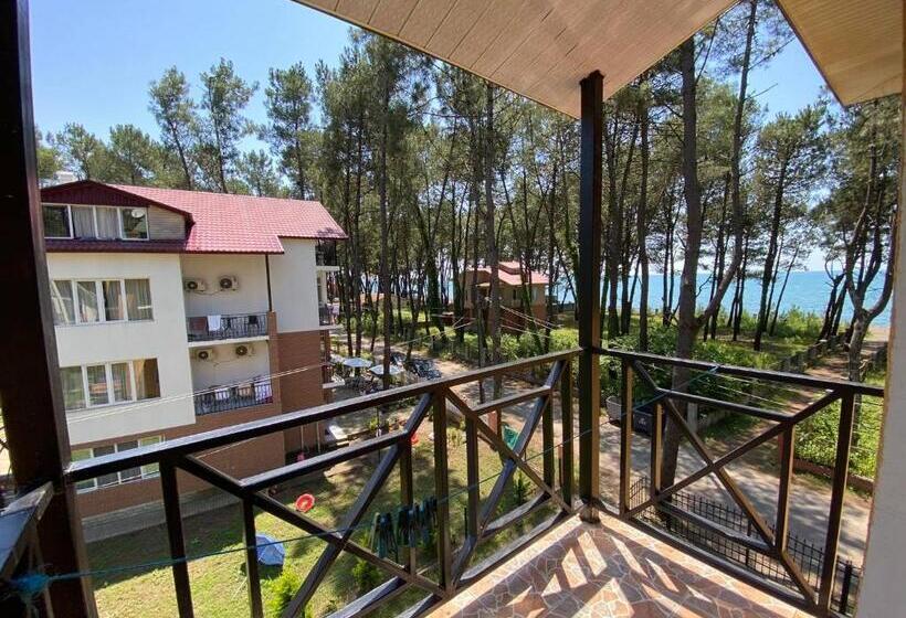 اتاق لوکس سه تخته, Bajo Shekvetili