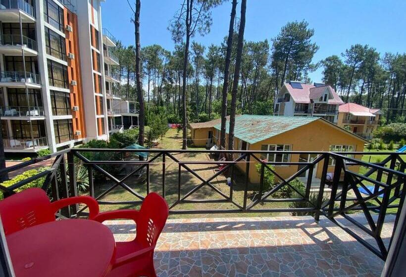 اتاق استاندارد چهار تخته با چشمانداز دریا, Bajo Shekvetili