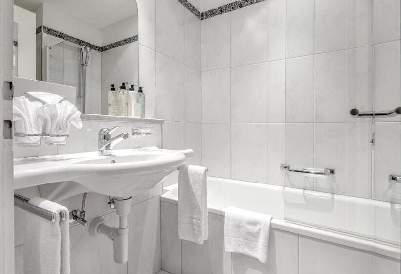 اتاق سوپریور یک تخته, Blatter S Arosa Hotel & Bella Vista Spa