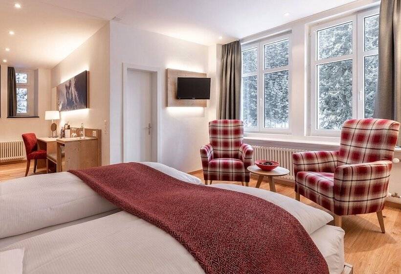 スーペリアールーム, Blatter S Arosa Hotel & Bella Vista Spa