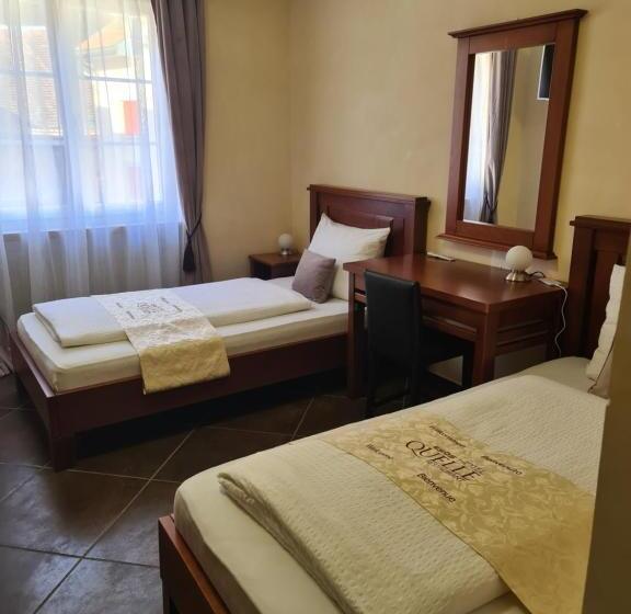 اتاق اکونومی, Esos Hotel Quelle