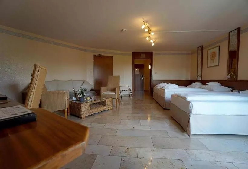 Standard Kolmen Hengen Huone, Flair Park Hotel Ilshofen