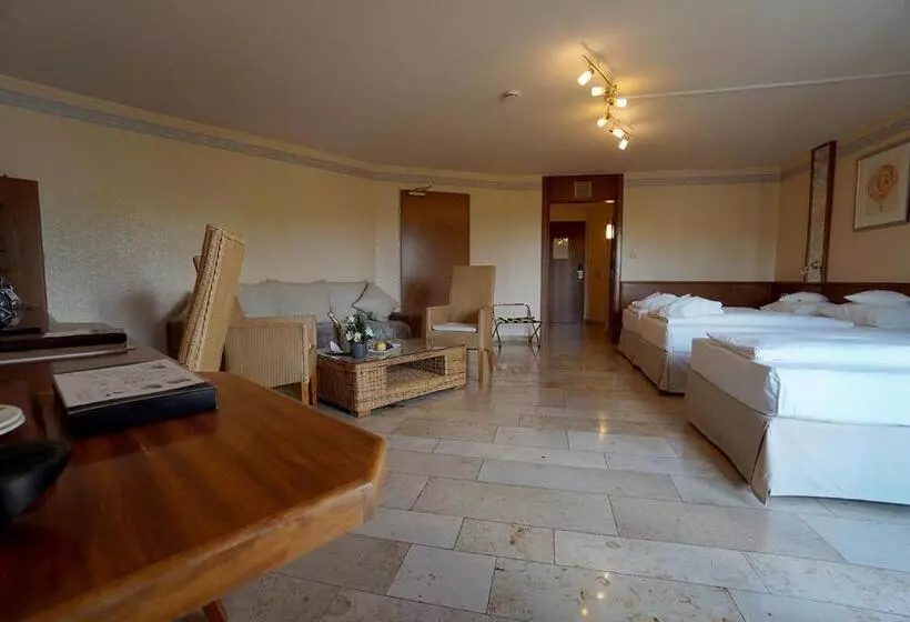 Standard Kolmen Hengen Huone, Flair Park Hotel Ilshofen