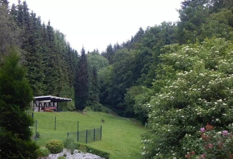 テラスつきの2ベッドルームアパートメント, & Gasthof Hubertushöhe Ihr Hotel Für Urlaub Mit Hund