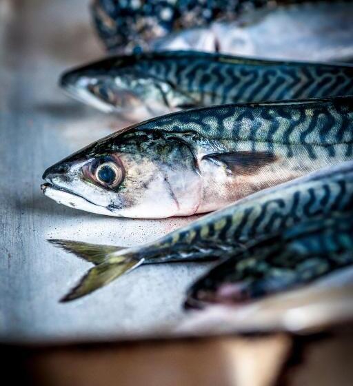 标准房带园景, Port Gaverne