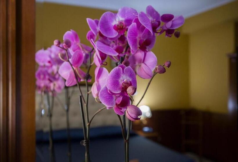 スイート, San Michele